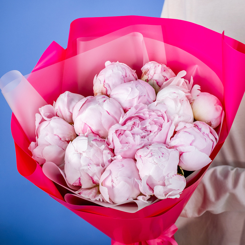 Букет из 13 розовых пионов (Премиум)